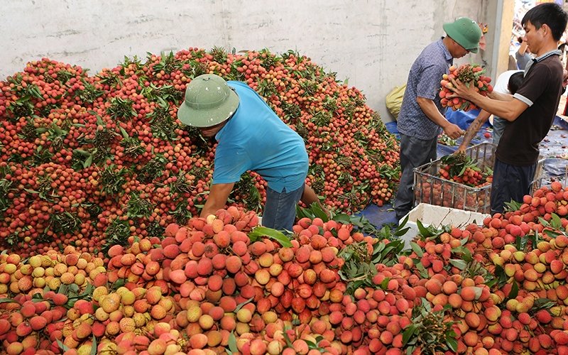 Seeking solutions to promote fruit consumption