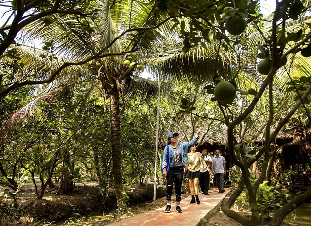 Discovering the fruit paradise of Bến Tre