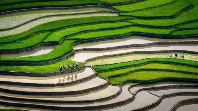 Discovering the peaceful beauty of Lìm Mông Village