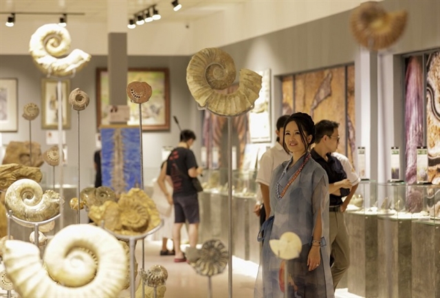 Fossil exhibition uncovers beginnings of life on Earth