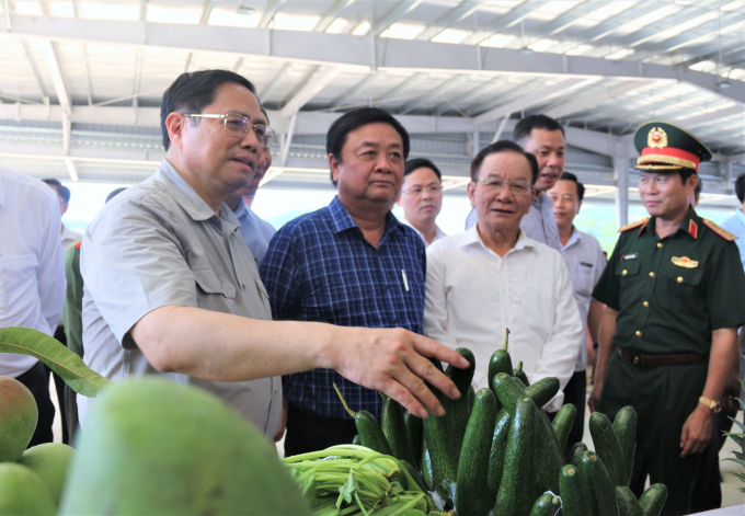 Agricultural exports aim to reach USD 55 billion