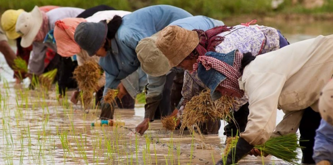 Efforts to transform agriculture and integrate into the ASEAN market