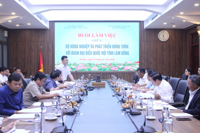 Forest development planning must secure people’s livelihood » Vietnam ...