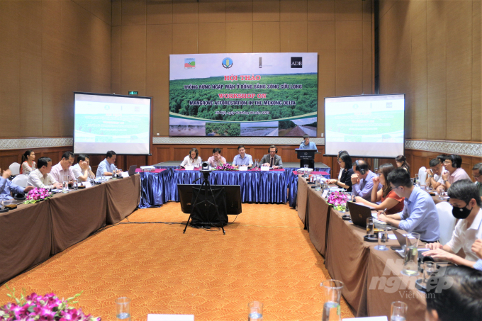 Strengthening resilience of Mekong Delta coasts with mangrove