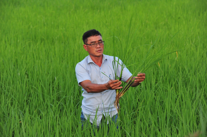 The respected cooperative director in Kien Giang