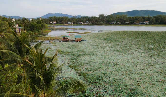 Three specialties of Binh Dinh coconut land