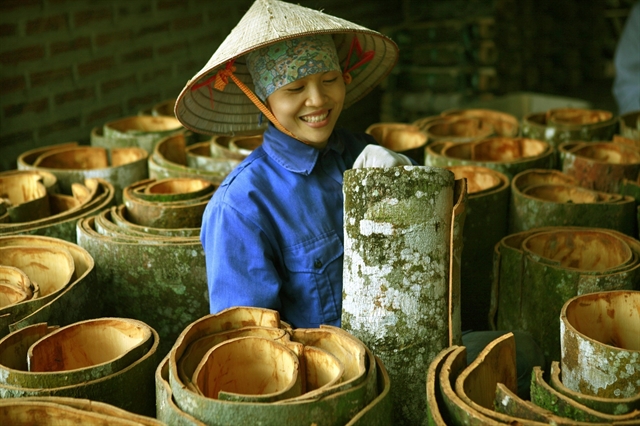 Văn Yên finds fortune in cinnamon
