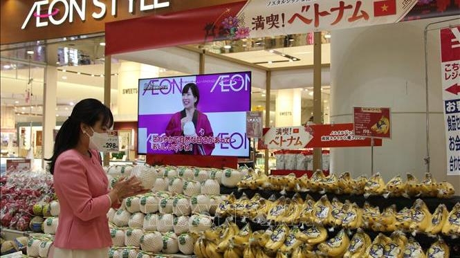 Vietnamese Goods Week underway in Japan