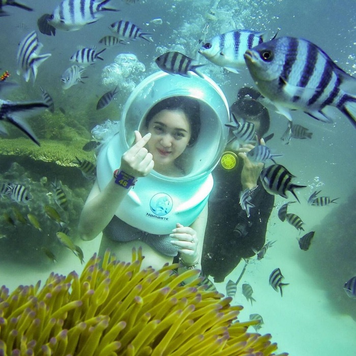 Have fun with the island experiences in Vietnam