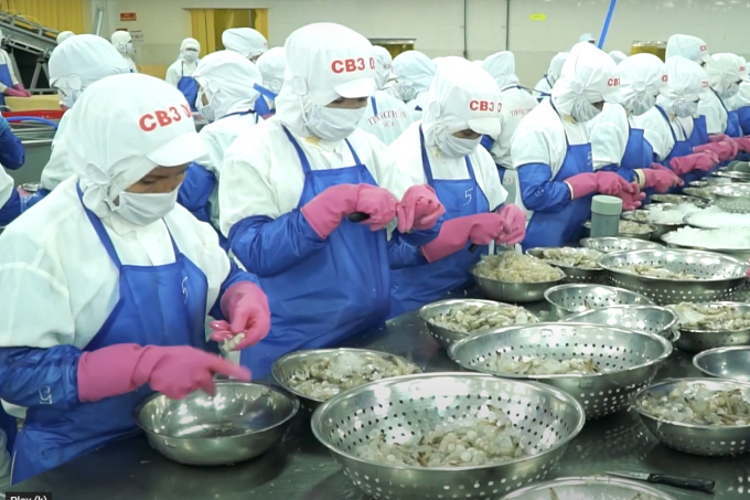 11 key objectives for the shrimp industry in second half of the year