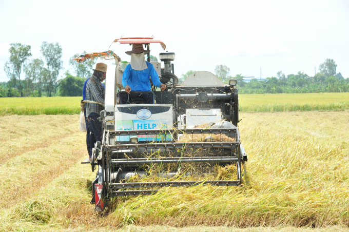 An Giang and the ‘fields without footprint’