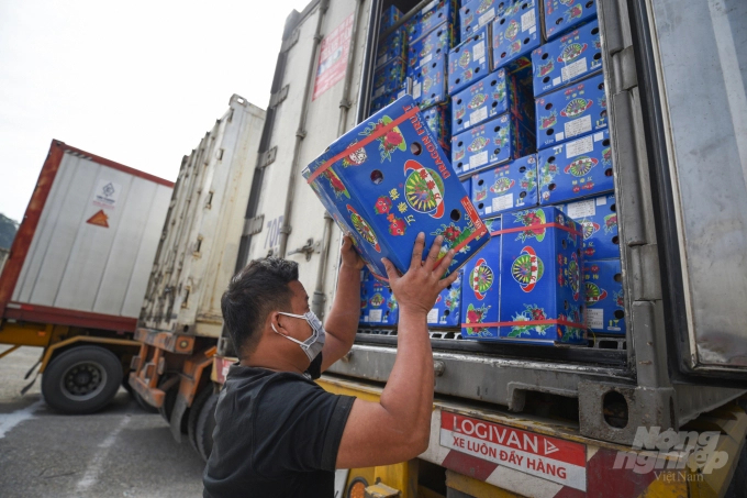 Better exploit export market thanks to e-commerce platform