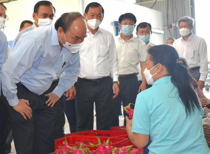 Ones who ‘revived’ agricultural cooperatives in Tien Giang