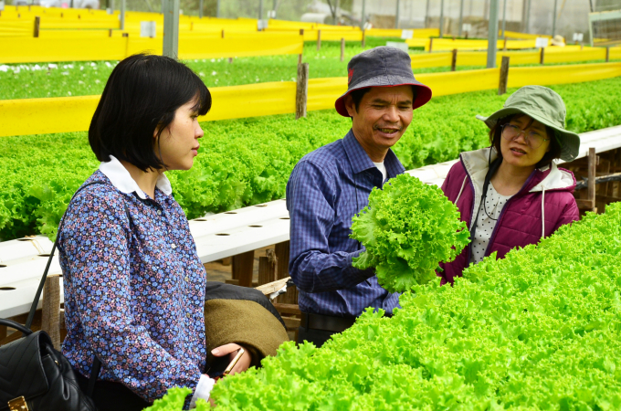 The farm of a ‘VND 600 billion farmer’
