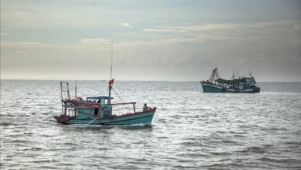 Vietnam ready to cooperate and share experience in combating illegal fishing: spokesperson