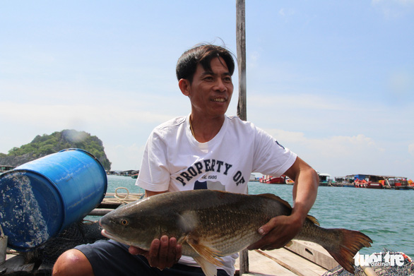 Visit Mekong Delta’s Nghe island to experience fish cage farming