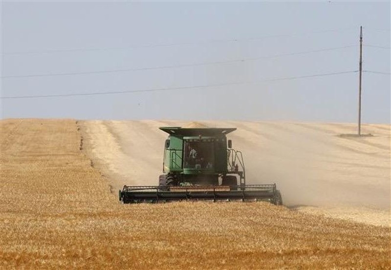Unleashing the flow of Ukrainian grain