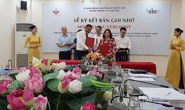 Hanoi partners up with French business in aviation industry