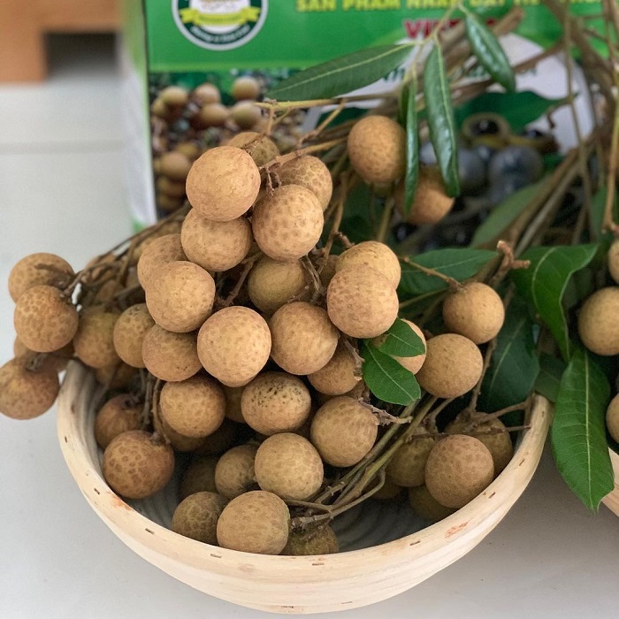 Discover the famous delicious Northern specialty fruits