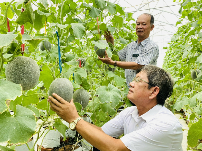 Can Tho expects organic products to prosper in the Mekong Delta