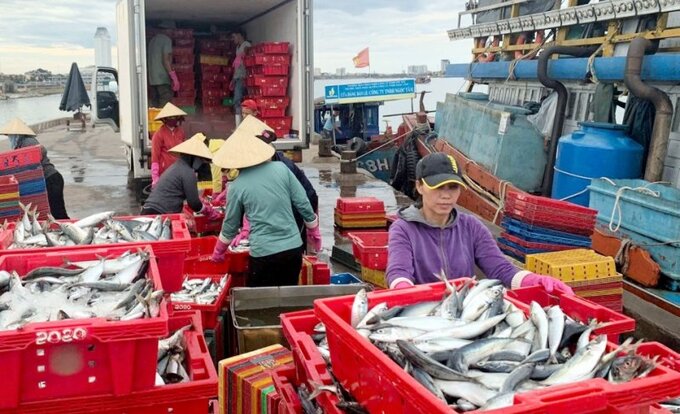 Fishing ships sailing out to the sea for billions in profit