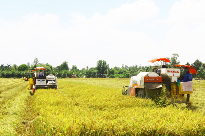 Over AUD 10 million support to reduce emissions in rice production ...