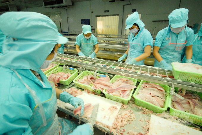 Shrimp exports aims to surpass India by 2025