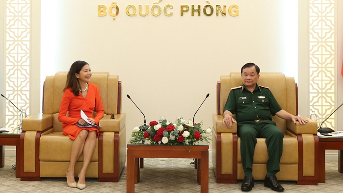 Vietnam to engage in UN peacekeeping operations more extensively: official