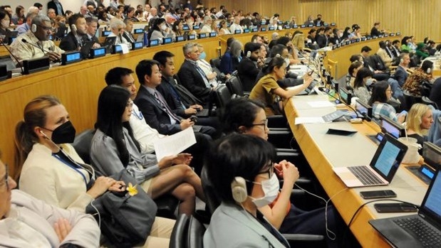 Vietnam makes contributions to negotiations for BBNJ instrument