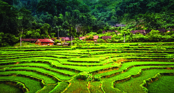 Admire pristine beauty of Hoai Khao Village in northern Vietnam