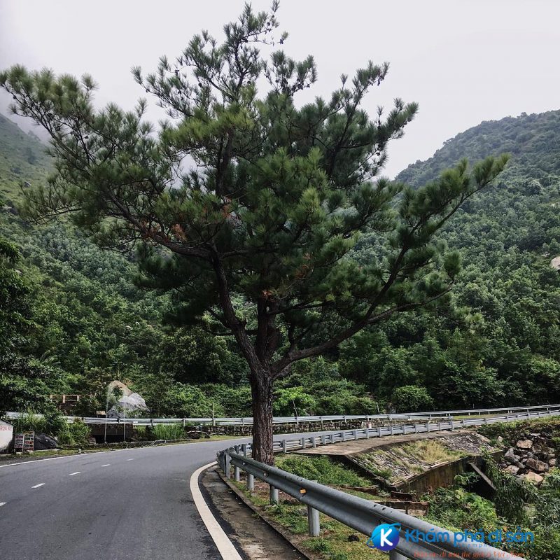 Discovering the pass that reached the top of “the most beautiful coastal roads in the world”, what seemed strange turned out to be in a very familiar place!