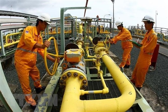 Domestic petroleum market needs revamping