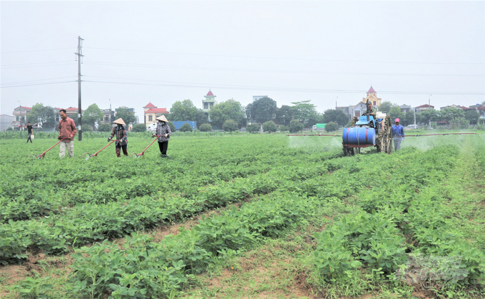 Association with businesses to help farmers improve the quality