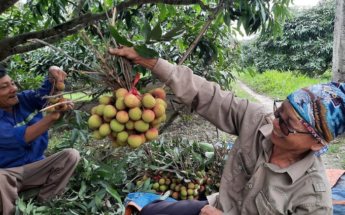 Green agriculture – the inevitable trend