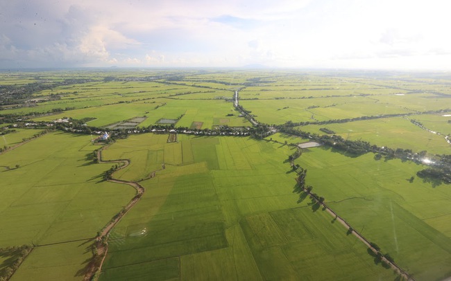 In Mekong Delta, fresh water, brackish water, and seawater are all exploitable resources