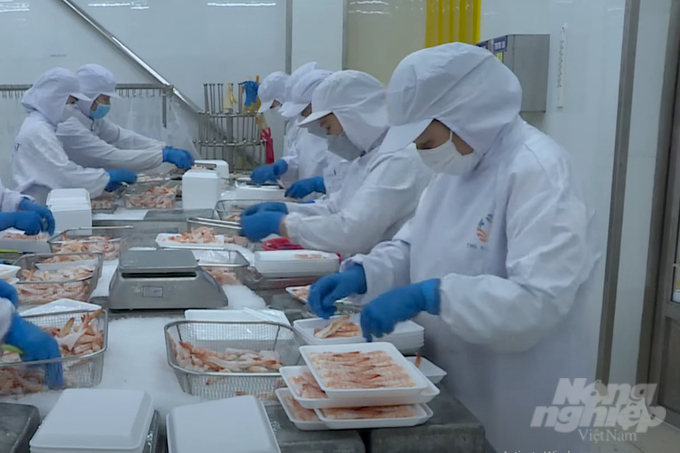 It's time to build Vietnam seafood brand: experts