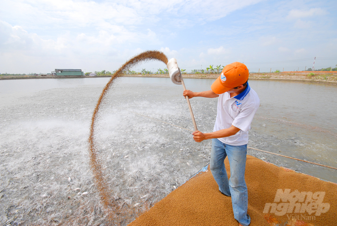 Pangasius farming establishments will be granted codes by 2025