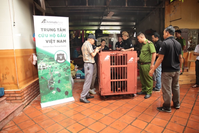 Rescuing a bear kept in captivity for 17 years in Nam Dinh