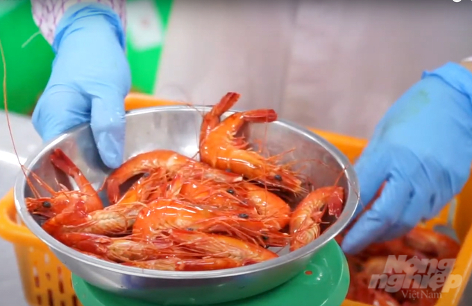 Vietnamese shrimps compete with processing capacity