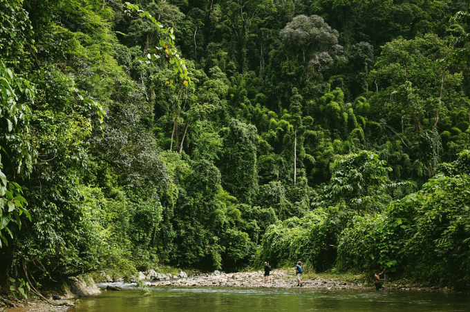 Two days traveling through two primeval forests in Tay Giang