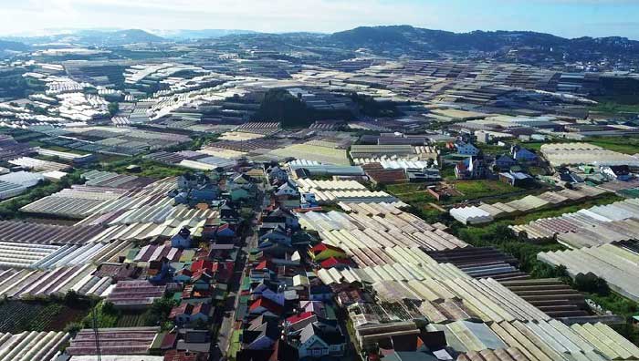 Dalat set to zero out greenhouses in city center