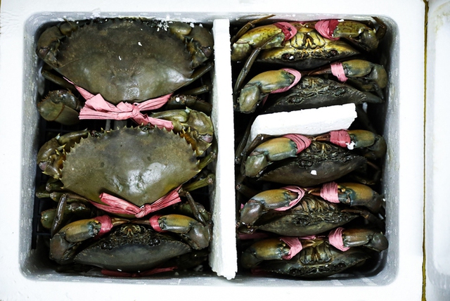 Ca Mau crab soup shop sells 1,000 bowls per day, with bowls up to 14$