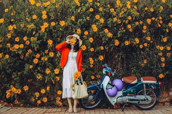 Dalat travel experience in October welcomes the most romantic and poetic season of the year