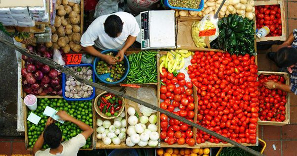Four areas of cooperation to catalyze agrifood systems transformation