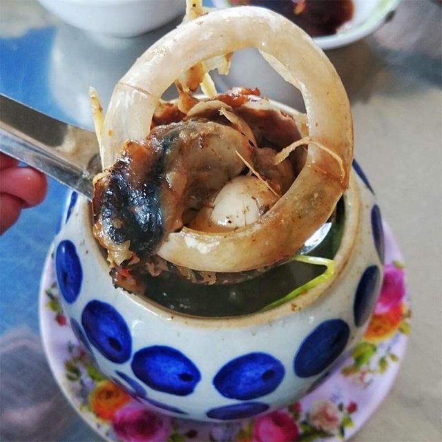 Startled by the horror but delicious dishes of Vietnam