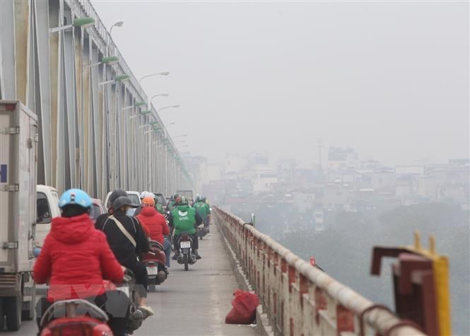 Environmental remediation project launched