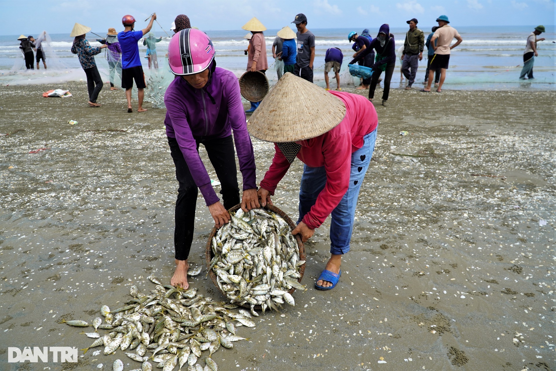 Fishermen teamed up to go backward to pull a record catch of 4 tons of fish  » Vietnam News - Latest Updates and World Insights