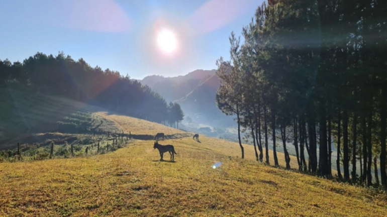 Let your soul ‘chill’ with the peaceful and picturesque H’Mong village in Van Ho