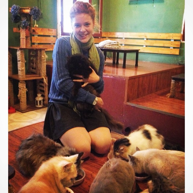 List of 8 pet cafes, super cute Hanoi cat and dog cafe