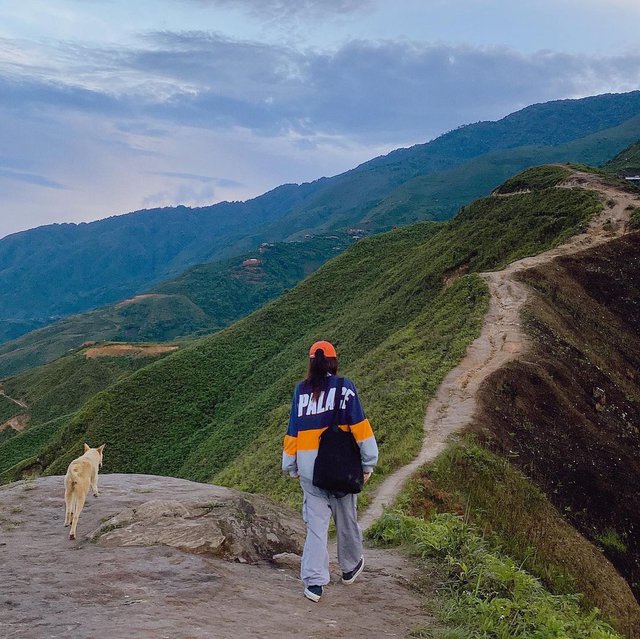 Ta Xua in the cloud season: An ideal tourist destination for office workers 2 days a weekend